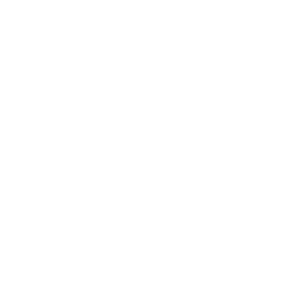 LeonCommunication_Product-Logo_Motorola-white Home